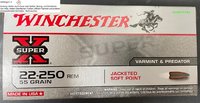 .22-250 Rem.  Winchester Super-X Soft Point 55 grs.  20 Stück